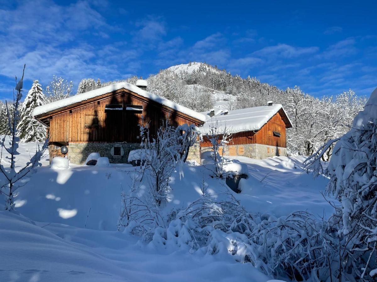 Chalet Alpage Proche Geneve Mégevette Exterior photo