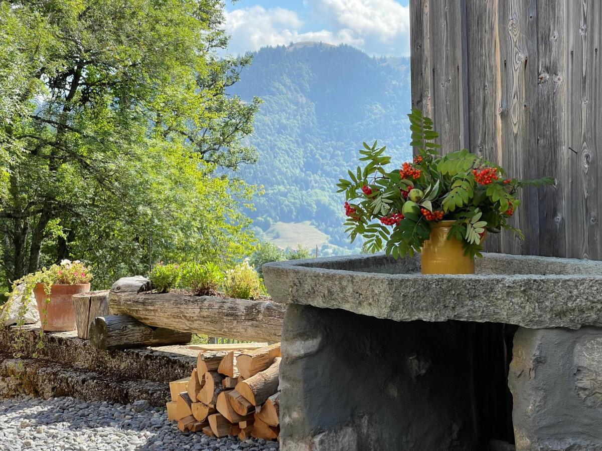 Chalet Alpage Proche Geneve Mégevette Exterior photo